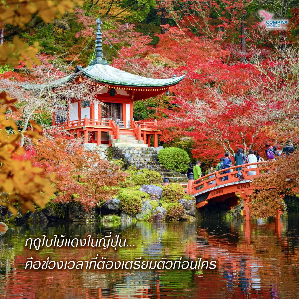 เที่ยวญี่ปุ่น ทัวร์ญี่ปุ่น ทัวร์ญี่ปุ่นพรีเมี่ยม โปรแกรมทัวร์ญี่ปุ่น